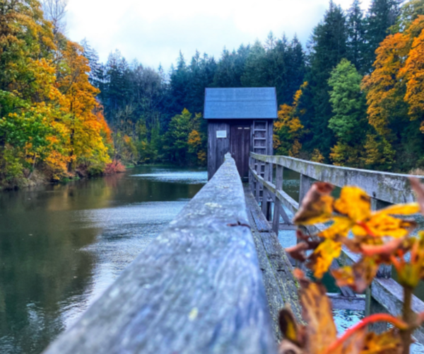Geschaffene Systeme der Oberharzer Wasserwirtschaft@glc Geschaffene Systeme der Oberharzer Wasserwirtschaft in Form einer Talsperre mit Häuschen in herbstlicher Farbenpracht.